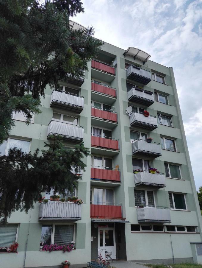 Apartman-Trebon-Centrum Dış mekan fotoğraf